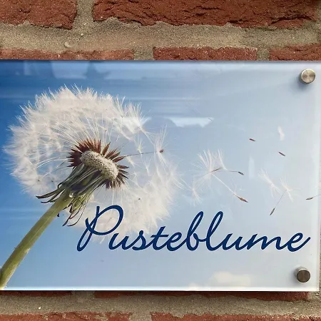 Pusteblume